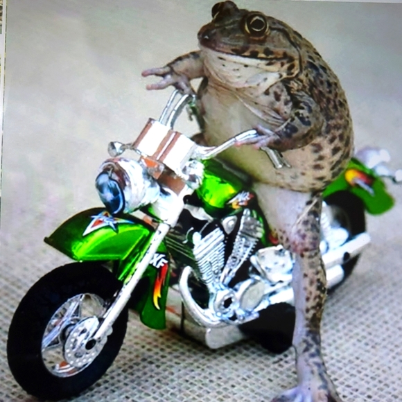 Meet your Posher, Manny - Picture 16 of 16